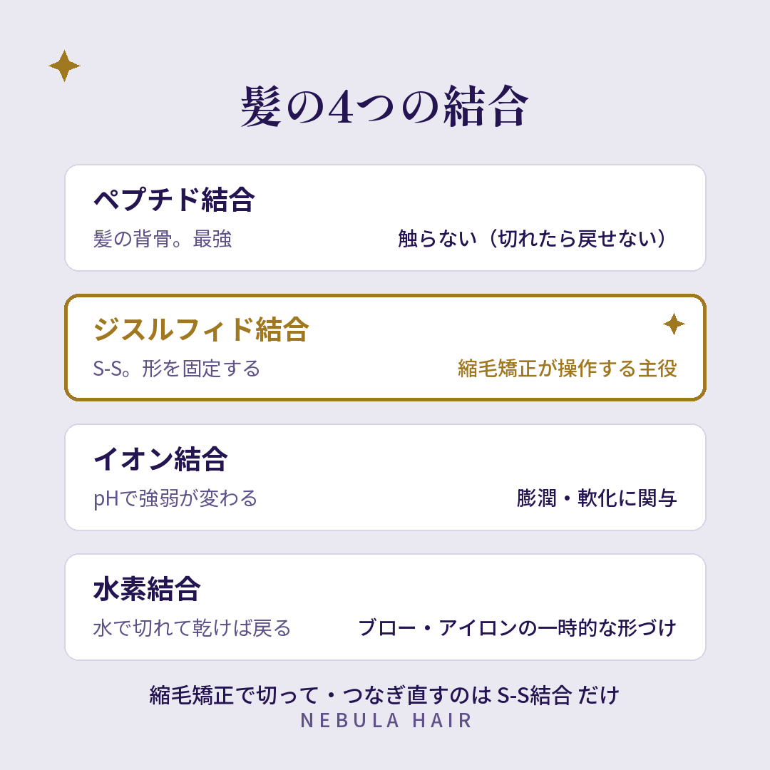 髪の4つの結合（ペプチド・ジスルフィド・イオン・水素）の図解