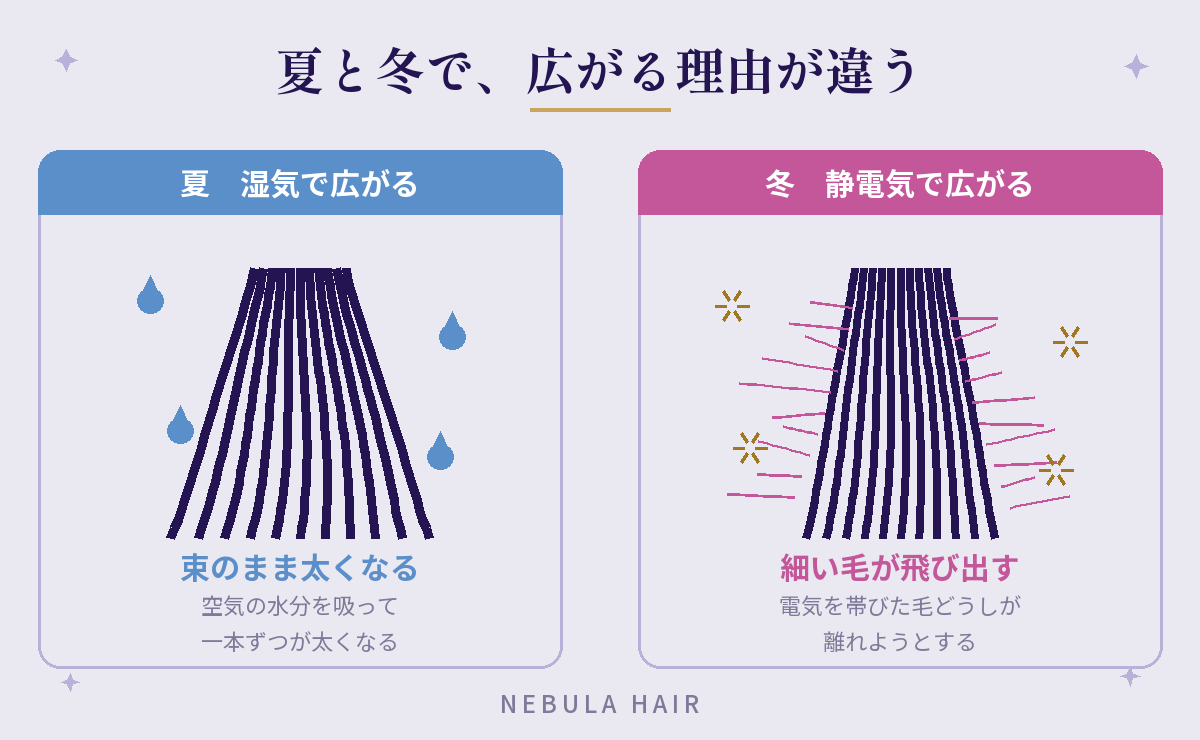 夏と冬で広がる理由が違う(湿気で束のまま太くなる/静電気で細い毛が散る)