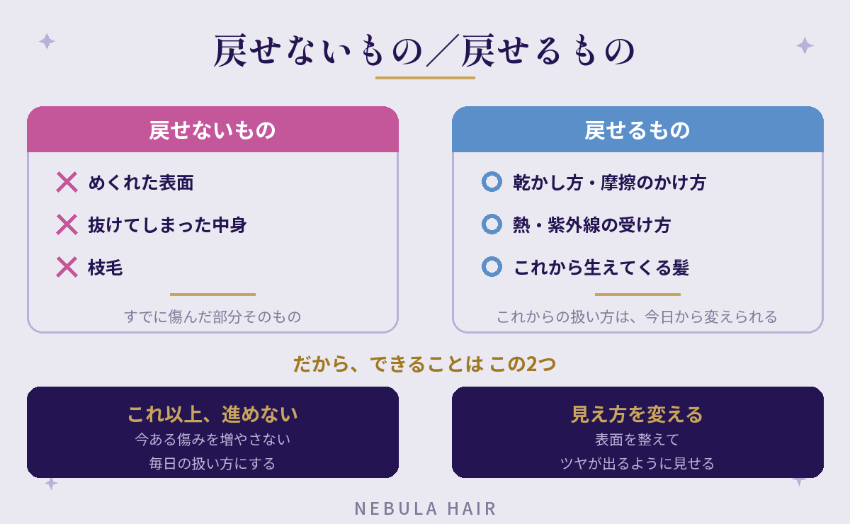 戻せないものはめくれた表面・抜けた中身・枝毛、戻せるものは乾かし方や摩擦、熱や紫外線の受け方、これから生えてくる髪という整理の図